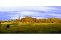 Property photo of 31 Whalleys Road South Kolan QLD 4670