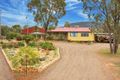 Property photo of 23 Reading Road Gunnedah NSW 2380