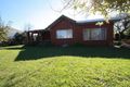 Property photo of 41 Northcliffe Road Edithvale VIC 3196