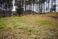 Property photo of 12 James Road Glenwood QLD 4570
