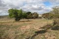 Property photo of 10 South Street Port Wakefield SA 5550