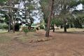 Property photo of 175 Jordan Road Chidlow WA 6556