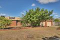 Property photo of 31 Othello Street Sunnybank Hills QLD 4109