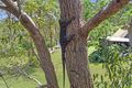 Property photo of 387 Rocky Creek Road Wollombi NSW 2325