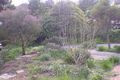 Property photo of 4 Chalk Place Torrens Park SA 5062