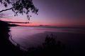 Property photo of 6 Buchan Street Palm Cove QLD 4879