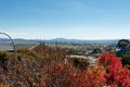 Property photo of 19 Nicholii Loop Jerrabomberra NSW 2619