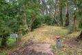 Property photo of 6 View Road Tecoma VIC 3160