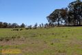 Property photo of 1469 Bocoble Road Carcalgong NSW 2850
