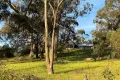 Property photo of 99 Gaelic Cemetery Road Stanley Flat SA 5453