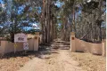 Property photo of 99 Gaelic Cemetery Road Stanley Flat SA 5453