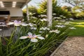 Property photo of 8 Barrhead Street Cohuna VIC 3568