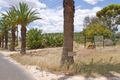 Property photo of 112 Seppeltsfield Road Seppeltsfield SA 5355