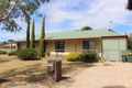 Property photo of 16 Le Strange Avenue Keith SA 5267