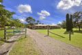 Property photo of 17 Olsen Crescent Warners Bay NSW 2282