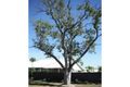 Property photo of 109 Casuarina Way Kununurra WA 6743