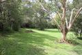 Property photo of 17 Northeden Court Cooroy QLD 4563