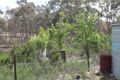 Property photo of 118 Biggins Lane Heathcote VIC 3523