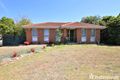 Property photo of 19 Anaconda Road Narre Warren VIC 3805