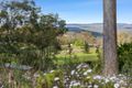 Property photo of 50 Munro Road Hampton QLD 4352