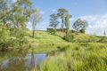 Property photo of 1230 Gresford Road Vacy NSW 2421