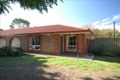 Property photo of 23 Hurtle Street Croydon SA 5008
