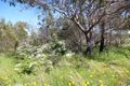 Property photo of LOT 3 Calvert Road Glen Aplin QLD 4381