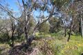 Property photo of LOT 3 Calvert Road Glen Aplin QLD 4381