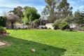 Property photo of 11 Eugene Avenue San Isidore NSW 2650
