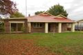 Property photo of 37 Green Street Bordertown SA 5268