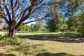 Property photo of 37 Curry Court Cooroy QLD 4563