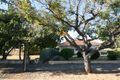Property photo of 2/43 Winston Avenue Cumberland Park SA 5041