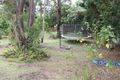 Property photo of 8 Clohesy Street Koah QLD 4881