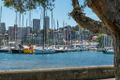 Property photo of 2/1-7 Queens Avenue Rushcutters Bay NSW 2011