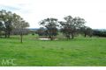 Property photo of 38 Offner Road Borenore NSW 2800