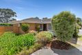 Property photo of 3/50 Fewster Road Hampton VIC 3188