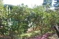 Property photo of 11 Sallaway Road Galston NSW 2159