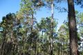 Property photo of 5 Arbortwenty-Six Road Glenwood QLD 4570