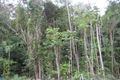 Property photo of 5 Tully Court Kuranda QLD 4881