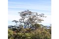Property photo of 1045 Myrtle Mountain Road Myrtle Mountain NSW 2550