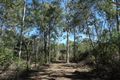Property photo of 75 Websters Road Euleilah QLD 4674