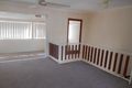 Property photo of 38 Springfield Street Macgregor QLD 4109