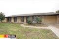 Property photo of 33 Kiddle Crescent Richardson ACT 2905