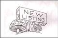 Property photo of 10 Gwalia Close Medowie NSW 2318