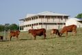 Property photo of 1068 Boonah-Rathdowney Road Wallaces Creek QLD 4310