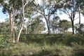 Property photo of 6 Lomatia Close Tallong NSW 2579