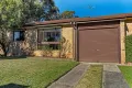 Property photo of 100 Lancia Drive Ingleburn NSW 2565