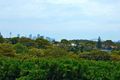Property photo of 97 Hopetoun Avenue Vaucluse NSW 2030