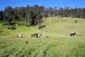 Property photo of 9 Kellys Road Levendale TAS 7120