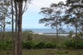 Property photo of 196 Turingal Head Road Wallagoot NSW 2550